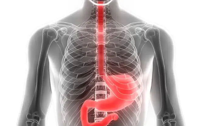 Stomach & Upper GI Cancer Surgery